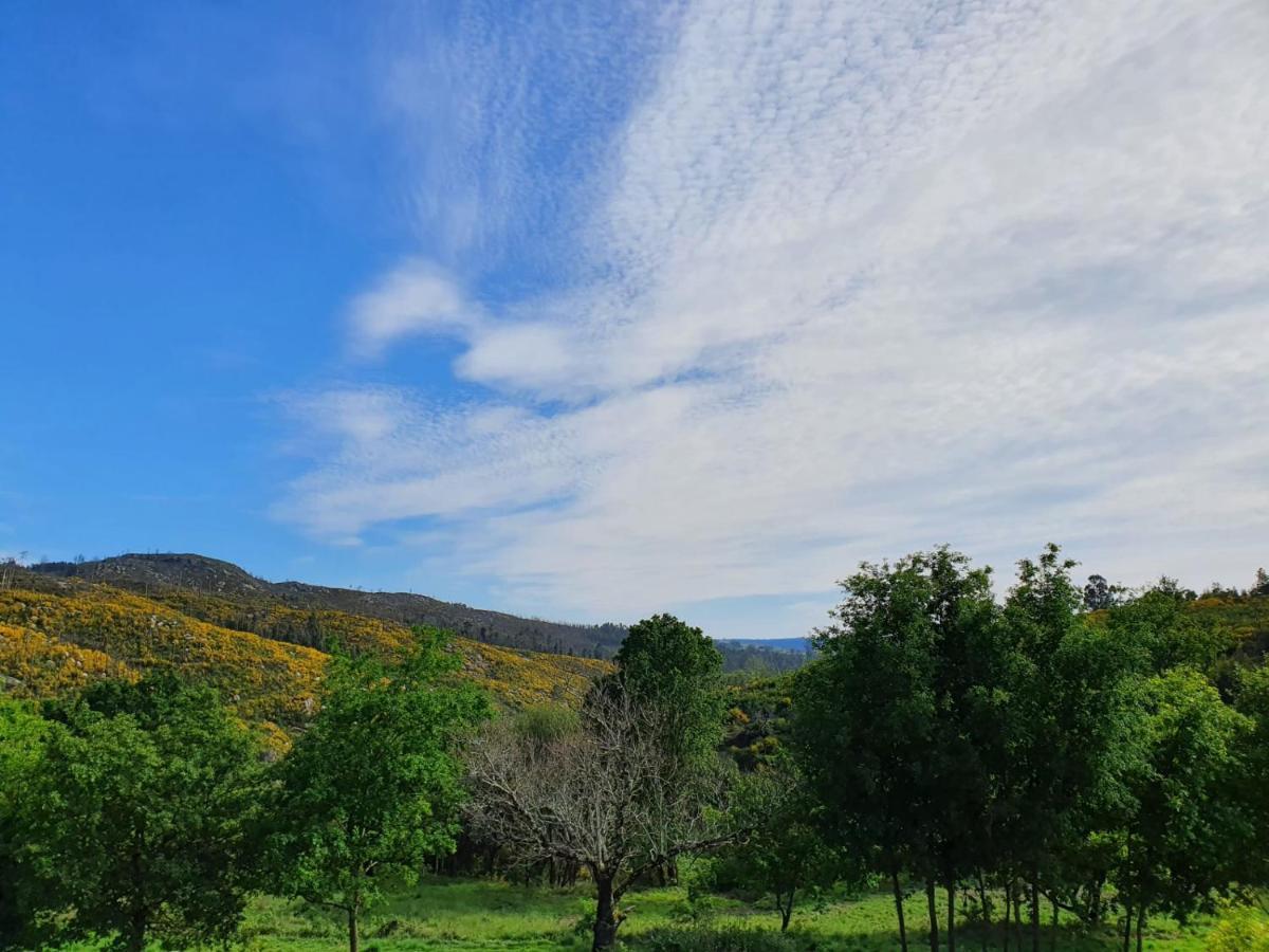 Quinta De Cerdeiro Villa Moes ภายนอก รูปภาพ