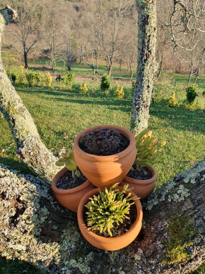 Quinta De Cerdeiro Villa Moes ภายนอก รูปภาพ